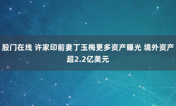 股门在线 许家印前妻丁玉梅更多资产曝光 境外资产超2.2亿美元