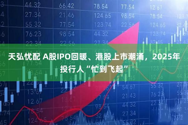 天弘忧配 A股IPO回暖、港股上市潮涌,2025年投行人“忙到飞起”