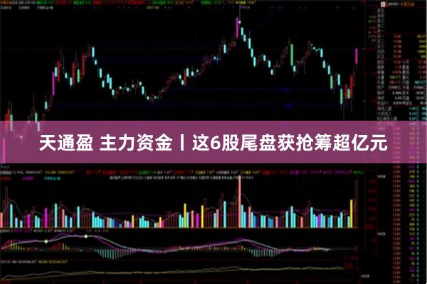 天通盈 主力资金丨这6股尾盘获抢筹超亿元