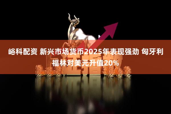 峪科配资 新兴市场货币2025年表现强劲 匈牙利福林对美元升值20%